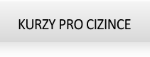 Kurzy pro cizince